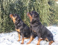 /album/rodice/rtw-014-jpg1/