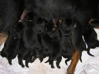 /album/a14-dni/a2t-jpg1/