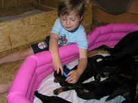 /album/a5/p5260437-jpg/