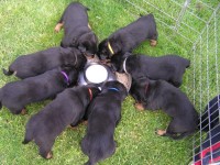 /album/prvni-granulky/p6080514-jpg/