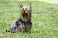 /album/geila/litomerice-22-jpg/