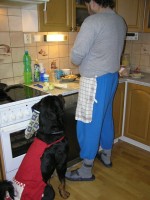 /album/fotogalerie-novinky1/pc310779-jpg/