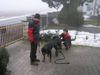 /album/fotogalerie-novinky/kryti-jpg/