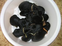 /album/fotogalerie-novinky4/p3250001-jpg/