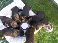 /album/fotogalerie-novinky5/p4240002-jpg/