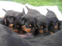 /album/fotogalerie-novinky5/p4200096-jpg/