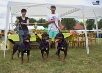 /album/krajsky-vystava-martineves/martineves-jpg/